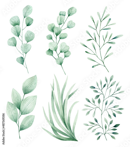 Watercolor illustration set with green grass  eucalyptus branches. Isolated on white background. Hand drawn clipart. Perfect for card  postcard  tags  invitation  printing  wrapping.