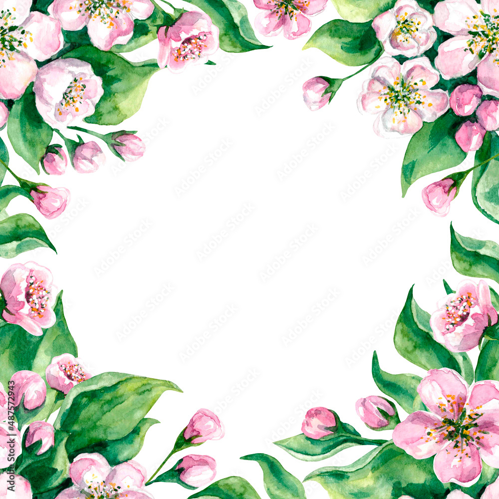 Spring feminine frame of apple tree flowers and leaves. Painted by hand in watercolor, isolated on a white background.