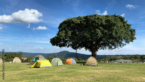 Tents stand by a large tree at Camp Simba. Green hills and blue sky. The amazing nature of Africa. photo