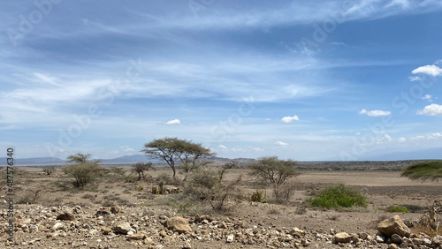 African desert landscape. Beautiful nature. The vastness of Tanzania. © chekart