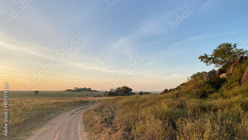 Amazing sunrise in the Serengeti National Park. Amazing landscapes of Africa. Beautiful nature.