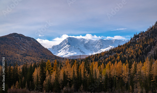 Altai © Сергей Юрков