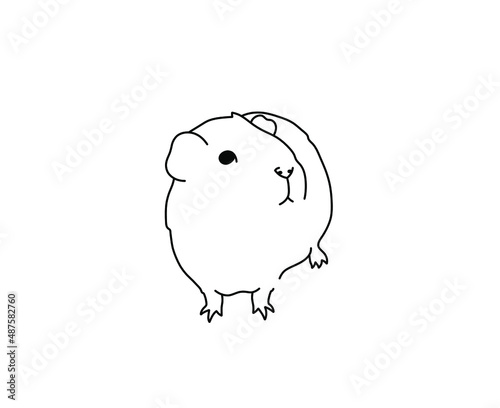 Vector isolated guinea pig with a flower behind his ear colorless black and white black line contour drawing