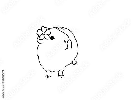 Vector isolated guinea pig with a flower behind his ear colorless black and white black line contour drawing