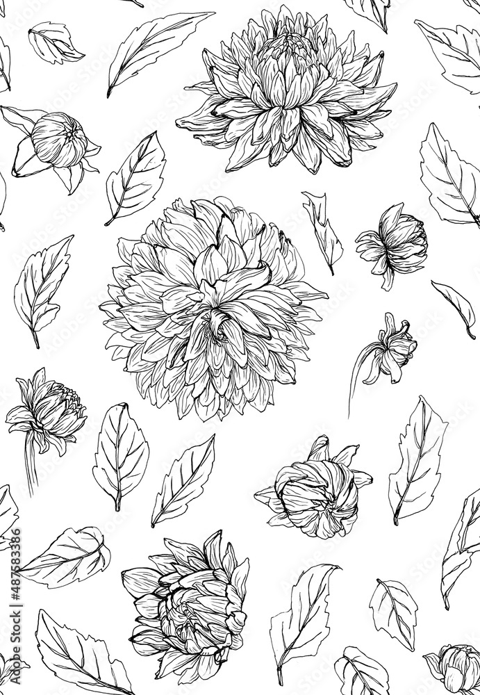 Patrón de flores de línea negras sobre fondo blanco, Dalias, ilustración de  línea en blanco y negro Stock Illustration | Adobe Stock