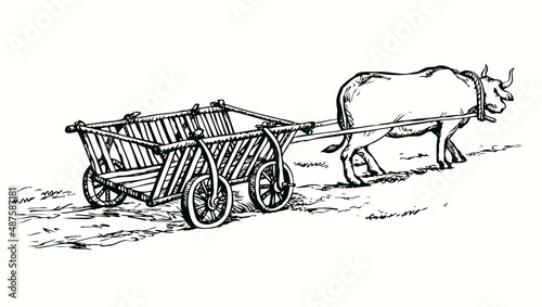 Empty cart drawn by oxen. Vector drawing
