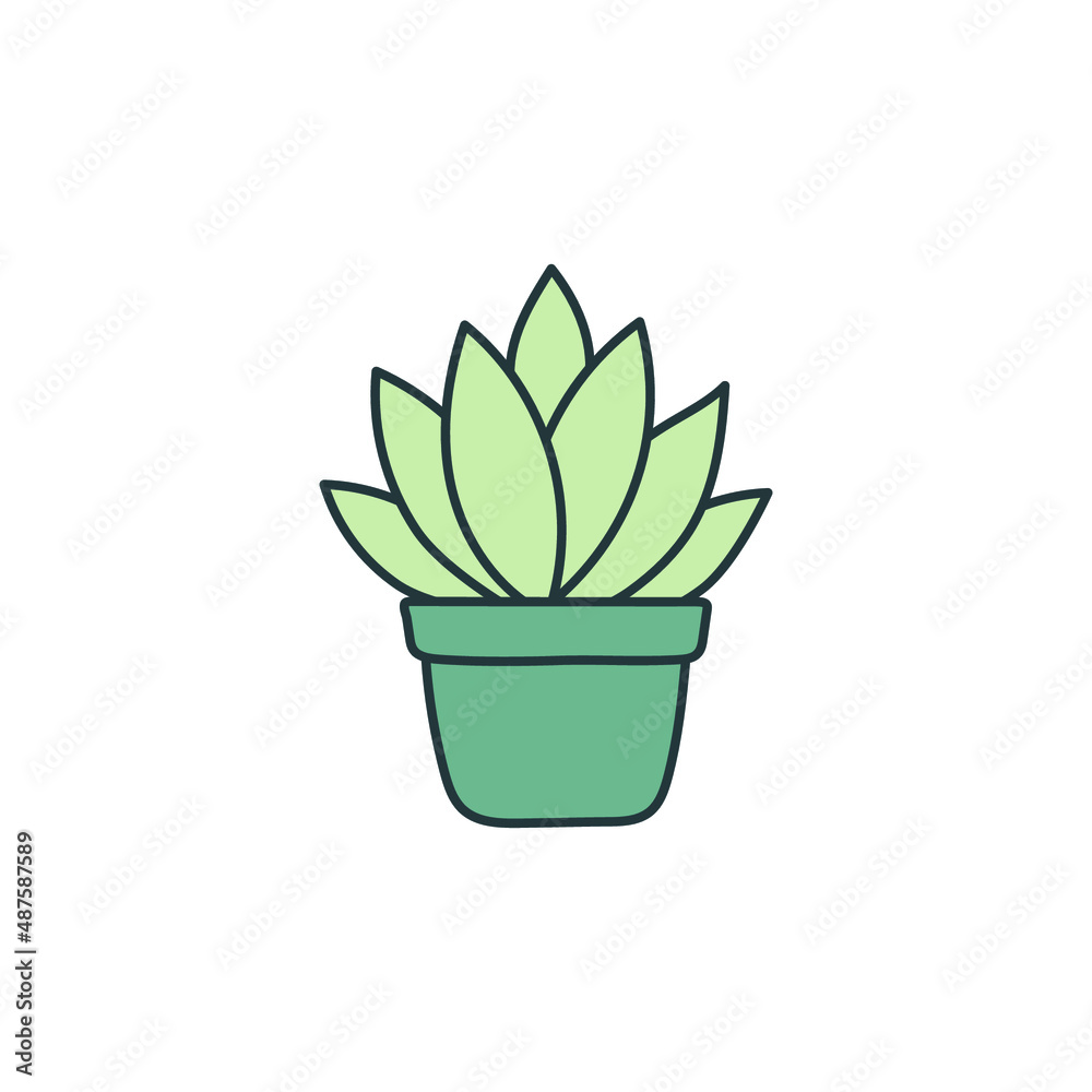 Indoor plants in the pot, simple botany illustration of cute houseplant Indoor plants in the pot, simple botany illustration of cute houseplant