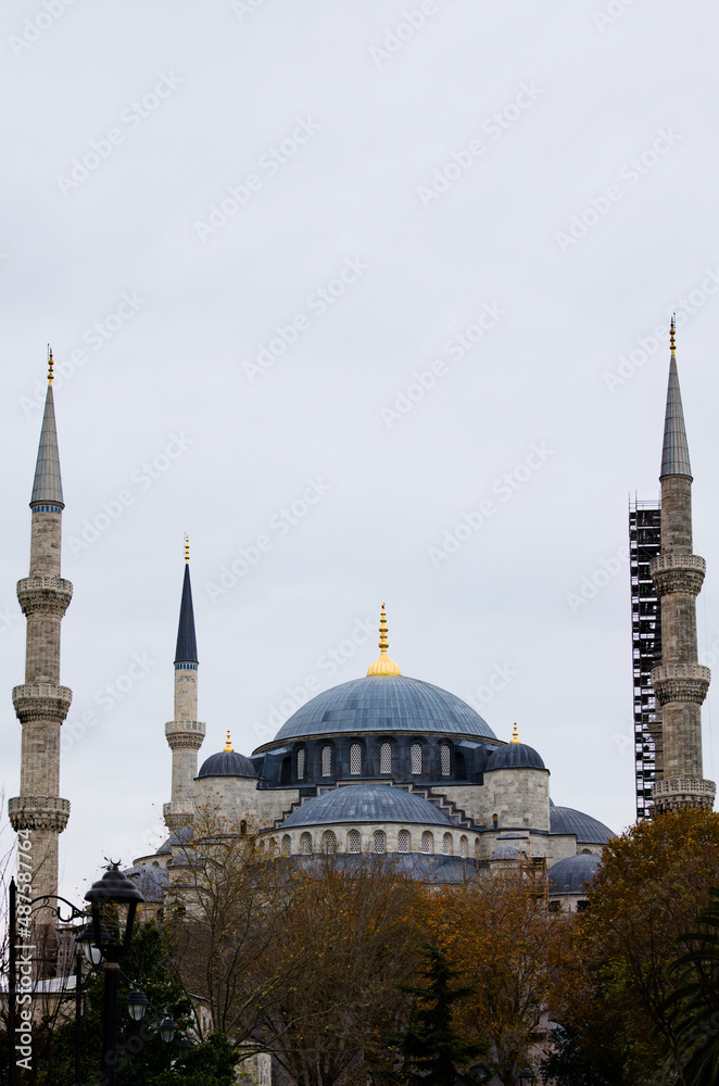 Fototapeta premium Scenic autumn landscape view of The Blue Mosque, (Sultanahmet Camii). Cloudy sky in the background. .Famous travel destination in Istanbul. Travel and tourism concept