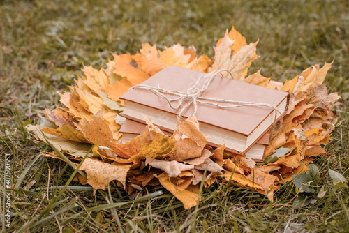 A stack of books lies on a heap of autumn leaves