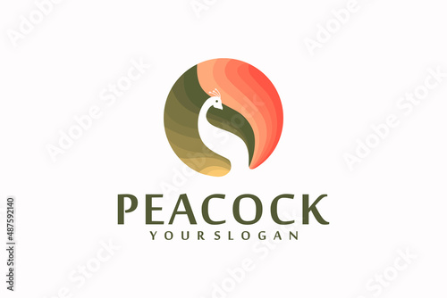 peacock logo with circle concept,logo reference for your business