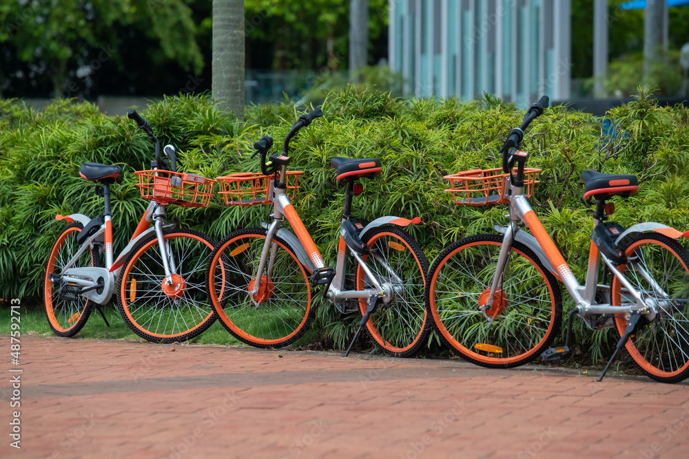 Several bicycles for free use stand on the street in Singapore, bicycles with tubeless wheels with baskets in front green vegetation in the background, care for the environment