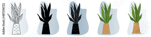 A homemade potted plant. Dense leaves up, succulent. Vector icon, contour, silhouette, glyph, flat simple and complicated, abstract background with gradient, isolated