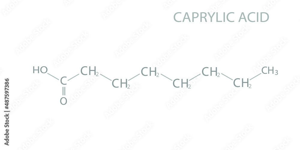 Caprylic acid molecular skeletal chemical formula. Stock Vector | Adobe ...