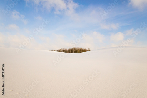 Beautiful empty winter landscape. White plains, fields and meadows on a frosty sunny day. Calm polar background for design and tourist advertising