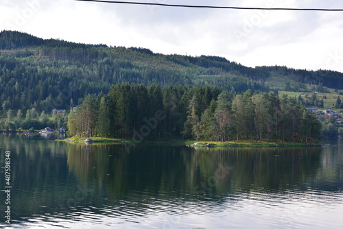 Kleine Insel mit Tannen im Hardangerfjord bei Ulvik in Norwegen