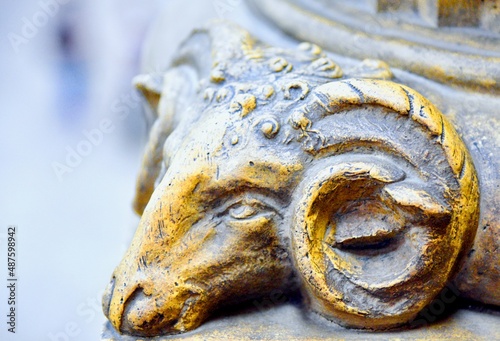 golden lion head