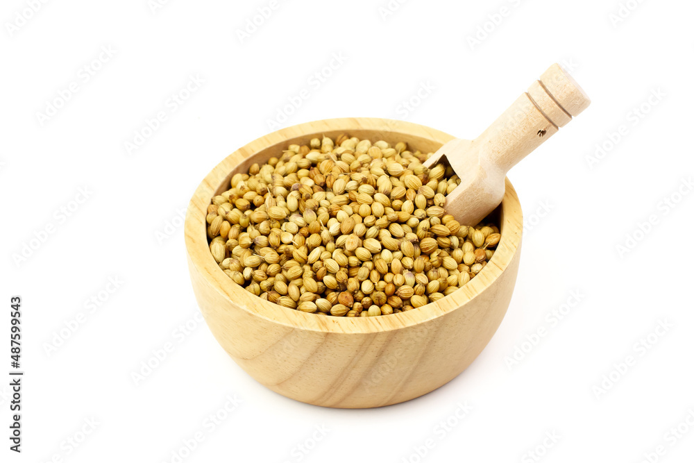 Coriander seeds on wooden bowl with scoop isolated on white background. Coriander seeds are a food ingredient and medicinal herbs. Coriander seeds on wooden bowl with scoop isolated on white background. Coriander seeds are a food ingredient and medicinal herbs.
