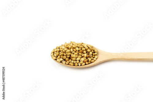 Coriander seeds on wooden spoon isolated on white background. Coriander seeds are a food ingredient and medicinal herbs. 