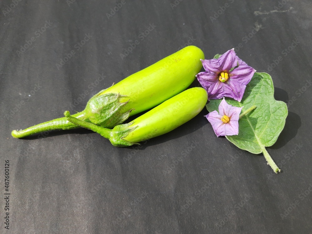 Eggplant with flower in black background. Its other names aubergine and brinjal. It is a plant