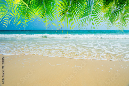 Fototapeta Naklejka Na Ścianę i Meble -  beach with palm trees leafs,summer concept