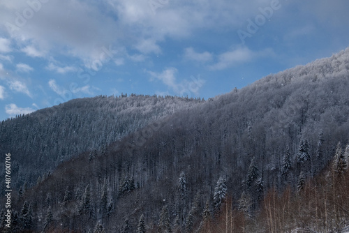 winter mountains landscape