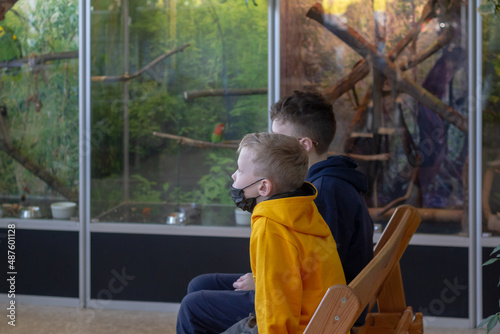 Children study nature in a museum, an exotarium with exotic wild animals in terrariums photo