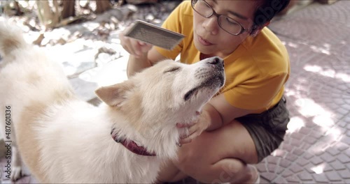 Asian woman brushing hair of cute and happy Thai Bangkeaw dog. Washing and grooming dog coat. Pet love and care product concept. Slow Motion. photo