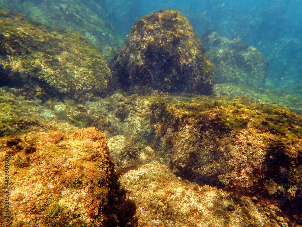 fondale marino acquegrandi di Acireale 319