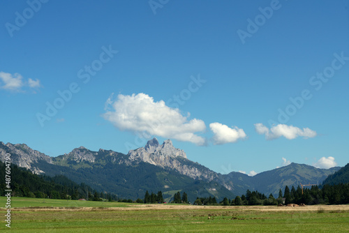 Blick auf den Aggenstein im Tannheimer Tal