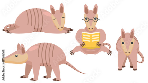 Set Abstract Collection Flat Cartoon Different Animal Honey Armadillo Stand, Sleeping, Reading A Book Vector Design Style Elements Fauna Wildlife