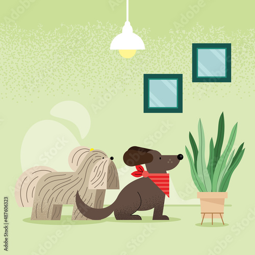 cute dogs in house