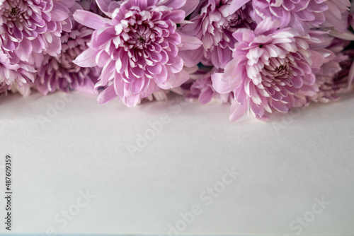 chrysanthemum card