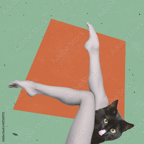 Slender female legs and black cat isolated on green orange background. Contemporary art collage, modern design. Minimalism, surrealism photo