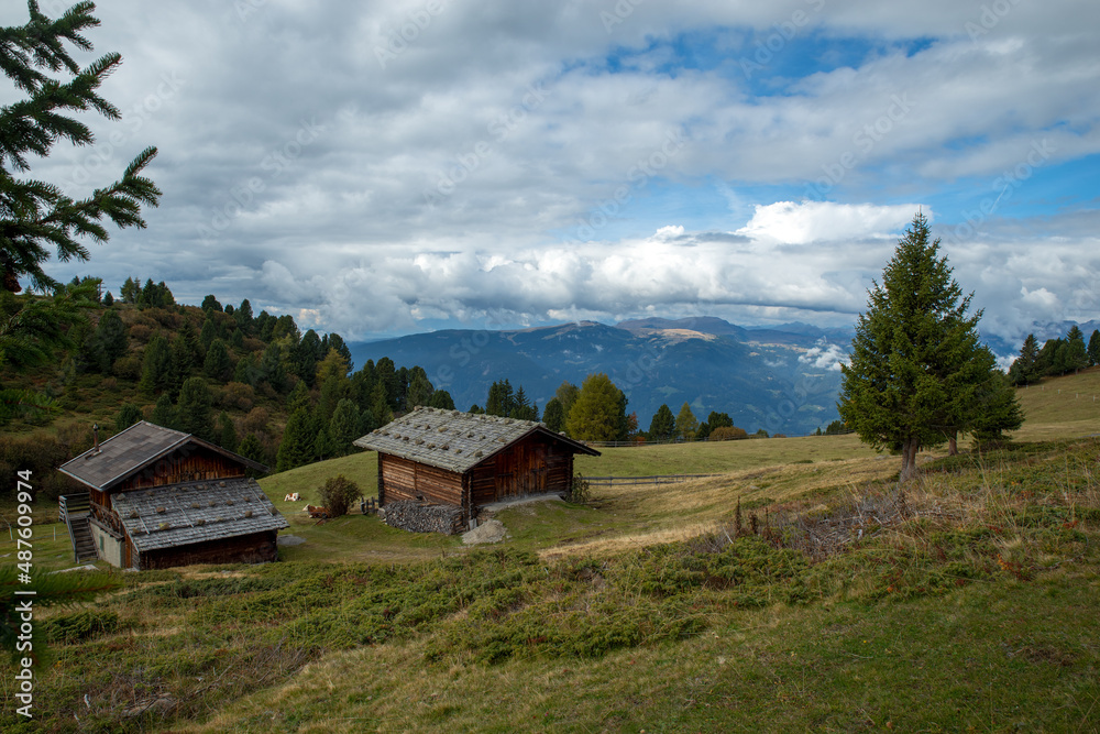 Almhütte Dolomiten (Seiseralm)