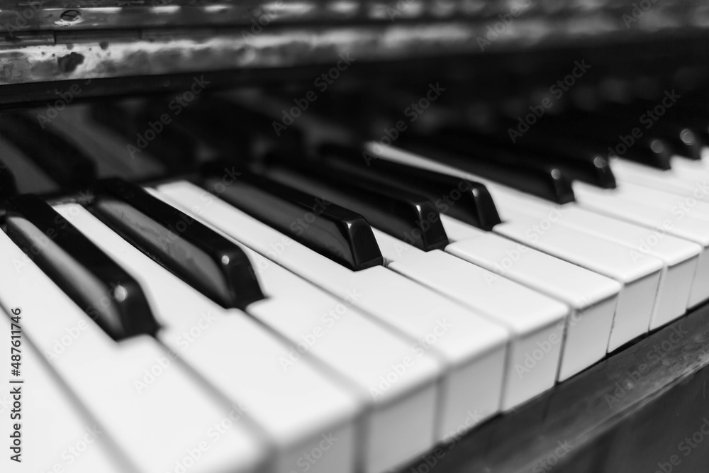 Piano keys closeup. Musical instrument in black and white photo. Piano keys closeup. Musical instrument in black and white photo.