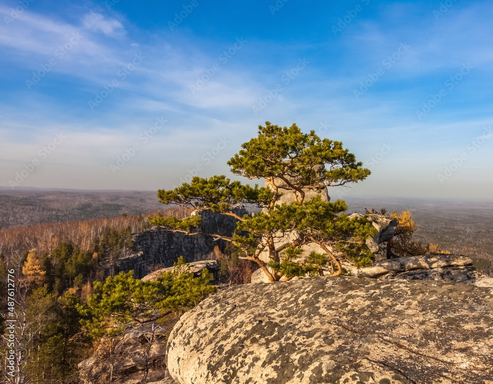 The top of a stone mountain with trees against the sky