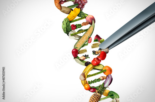 Agriculture gene editing and agricultural CRISPR concept or genetic engineering of food as a group of farm produce shaped as a DNA strand photo