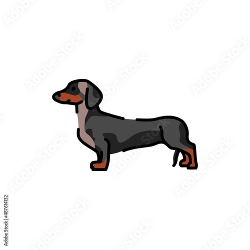 Dachshund color line icon. Dog breed.