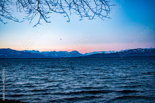 View of snow capped swiss alps from the shore of lake Constance