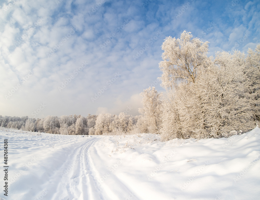 Obraz premium Winter landscape in the country on a cold sunny day