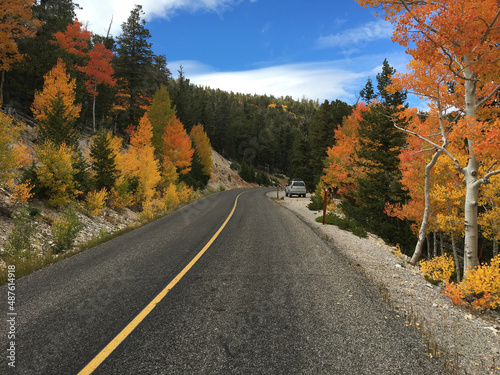 Foliage road in the mountains