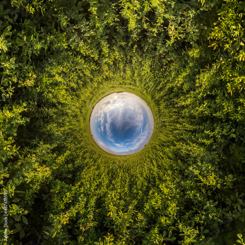 blue sphere little planet inside green grass round frame background.