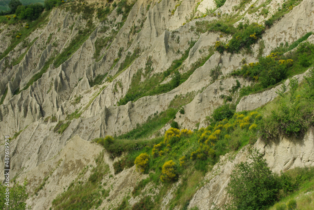 View of the gullies: They are a geomorphological phenomenon of soil erosion View of the gullies: They are a geomorphological phenomenon of soil erosion