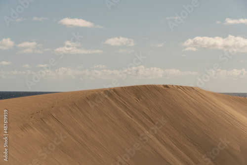 Vista de las dunas de Maspalomas en la isla de Gran Canaria  Espa  a