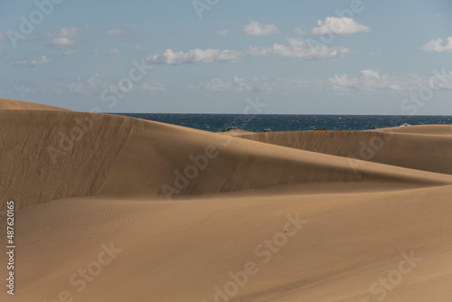 Vista de las dunas de Maspalomas en la isla de Gran Canaria  Espa  a