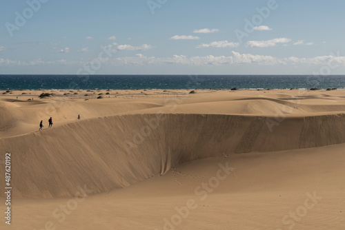 Vista de las dunas de Maspalomas en la isla de Gran Canaria  Espa  a
