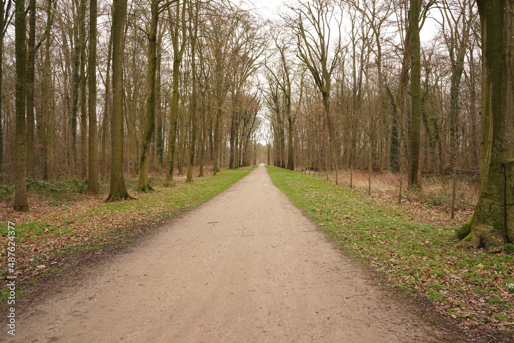 A road through a public park in autumn A road through a public park in autumn