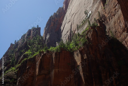 Red rock cliff with trees