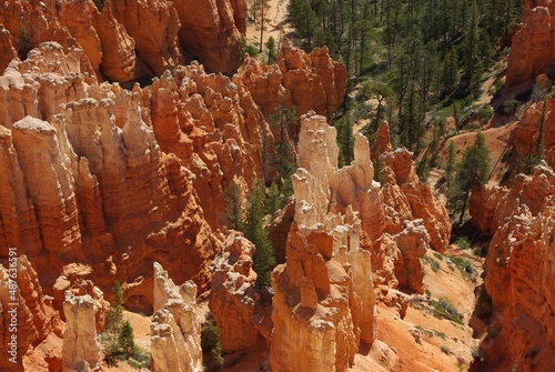 Orange hoodoo formations in southern Utah