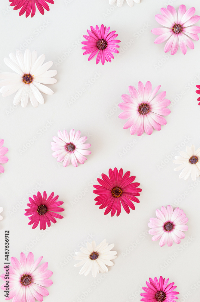 Colorful flowers on a silver background. Beautiful spring flower layout. Colorful flowers on a silver background. Beautiful spring flower layout.